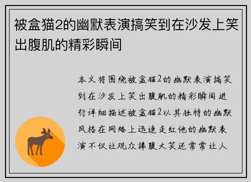 被盒猫2的幽默表演搞笑到在沙发上笑出腹肌的精彩瞬间