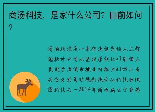 商汤科技，是家什么公司？目前如何？