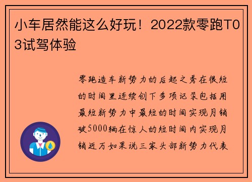小车居然能这么好玩！2022款零跑T03试驾体验