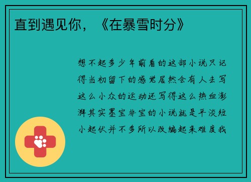 直到遇见你，《在暴雪时分》