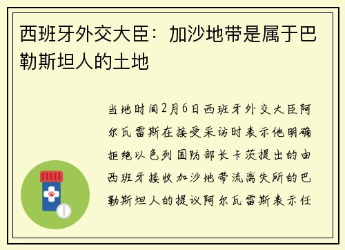 西班牙外交大臣：加沙地带是属于巴勒斯坦人的土地