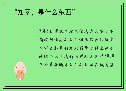 ​“知网，是什么东西”