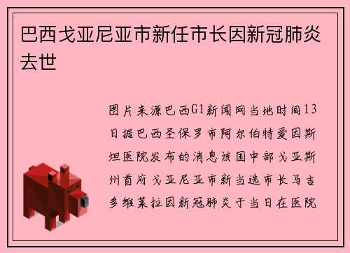 巴西戈亚尼亚市新任市长因新冠肺炎去世